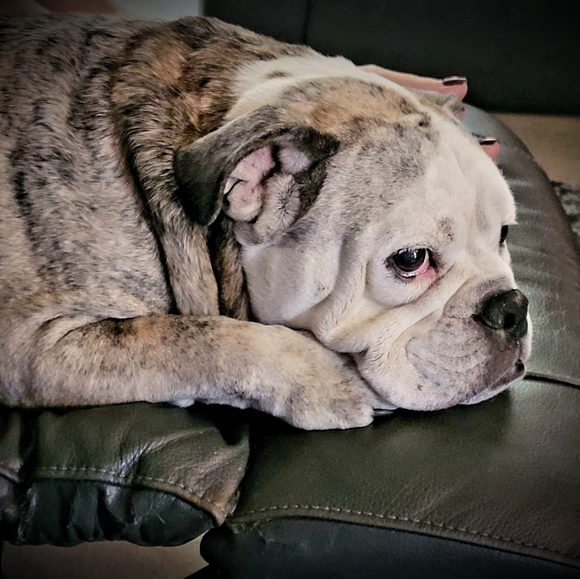 Meet your Posher, Melanie - Picture 6 of 7